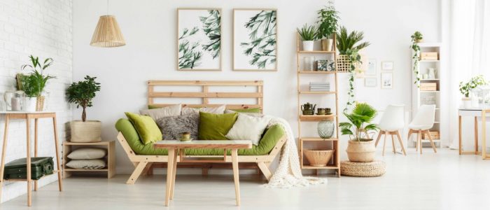 Plantas fáceis de cuidar em casa